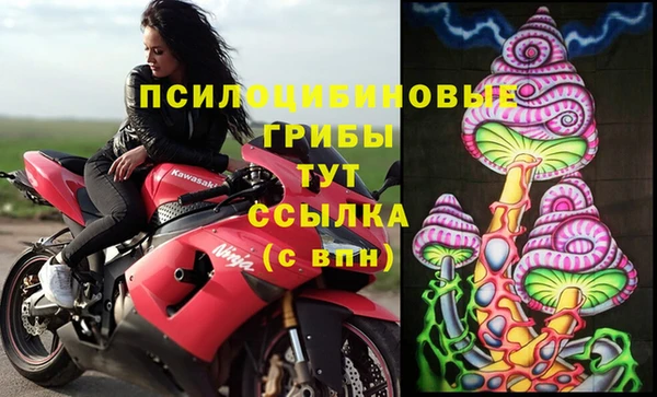 гашик Балахна