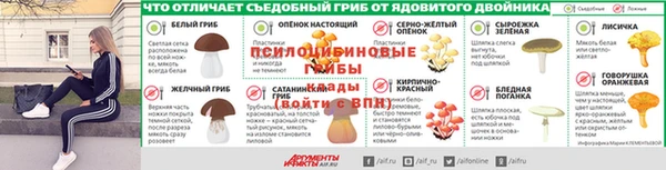 гашик Балахна