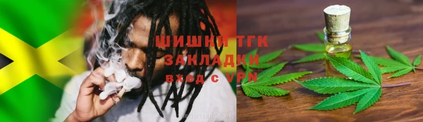 гашик Балахна