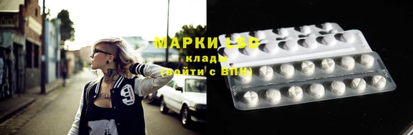 гашик Балахна