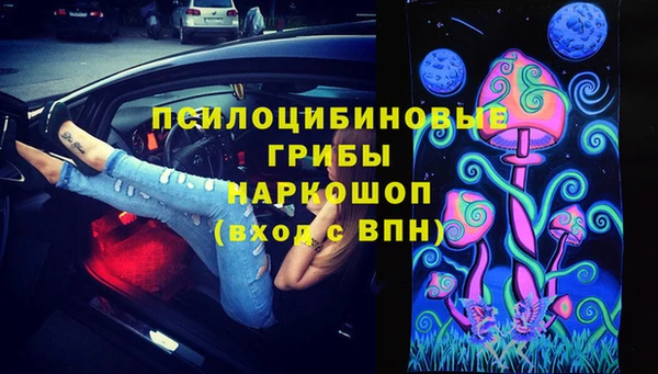гашик Баксан