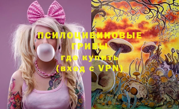 гашик Баксан